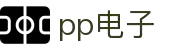 PP电子(中国)官方网站 - PP Electronic